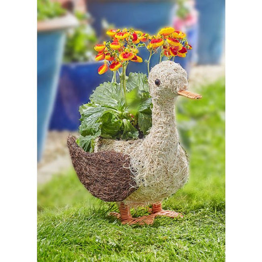 Rattan Planter - Daphne Duck