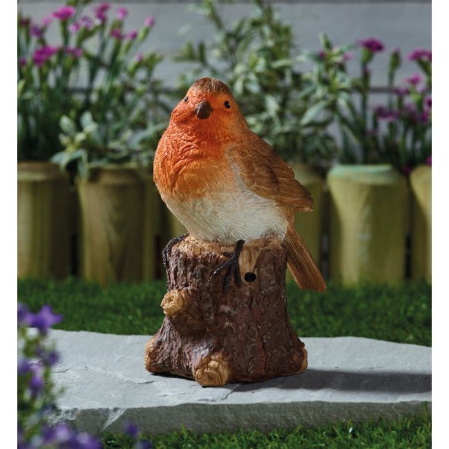 Robin Song