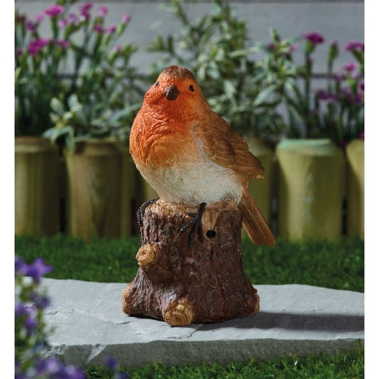 Robin Song